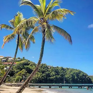 Superbe T2 De Standing, à L'anse à L'âne, à 5mn à Pied Des Plages Appartement